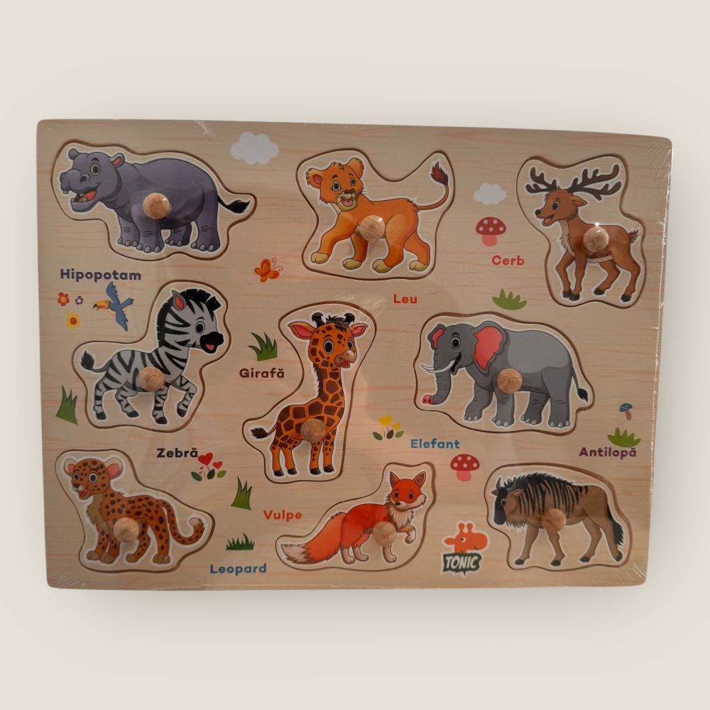 Puzzle incastru din lemn cu denumire in limba romana - diverse modele - imagine 7