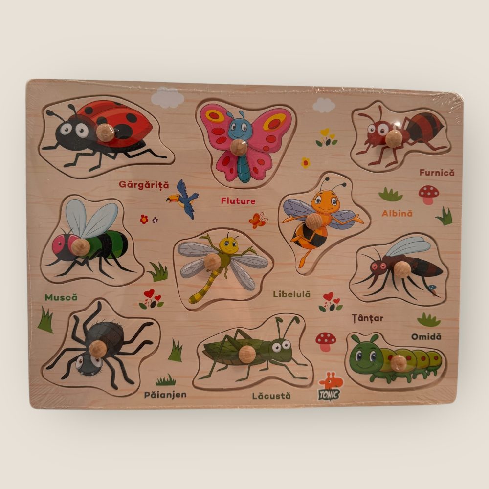 Puzzle incastru din lemn cu denumire in limba romana - diverse modele - imagine 6