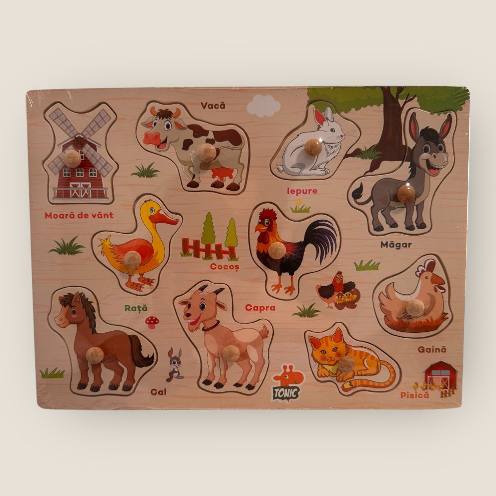 Puzzle incastru din lemn cu denumire in limba romana - diverse modele - imagine 2